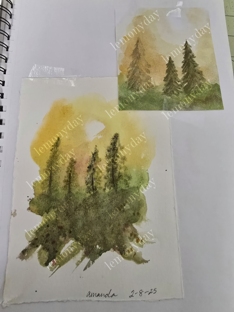 conifer trees experimentation